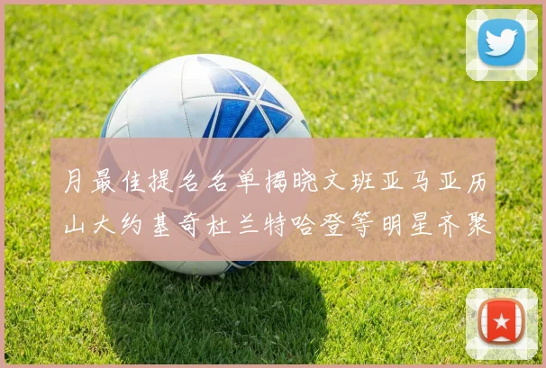 月最佳提名名单揭晓文班亚马亚历山大约基奇杜兰特哈登等明星齐聚争夺荣誉